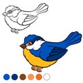 Coloring page. Color me: titmouse.