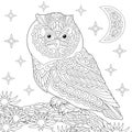 Zentangle owl coloring page