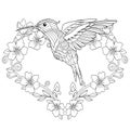 Zentangle hummingbird coloring page