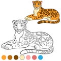 Coloring page with colors. Cute jaguar smiles.