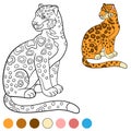 Coloring page with colors. Cute jaguar smiles.