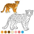 Coloring page with colors. Cute spotted jaguar smiles.