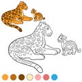 Coloring page with colors. Mother jaguar with her cub. Royalty Free Stock Photo