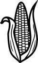 Coloring page with corn ear