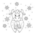 Coloring page with cute bull in a scarf and openwork snowflakes. Symbol of 2021