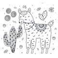 Coloring page with cute llama eating a cactus. Black and white background