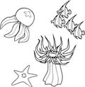 Coloring page. Different marine animals