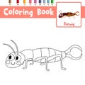 Coloring page Earwig animal cartoon character vector illustration