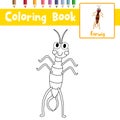 Coloring page Earwig standing on two legs animal cartoon character vector illustration