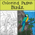 Coloring page with example. Cute parrot yellow macaw sits and smiles
