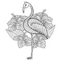 Coloring page with Flamingo in hibiskus Royalty Free Stock Photo