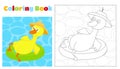 Coloring page funny duck swims in an inflatable pool circle. The duck is wearing a hat.