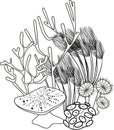 Coloring page. Group of various corals