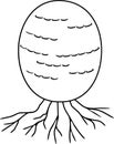 Coloring page with immature egg stage of fruiting body of Fly agaric Amanita muscaria