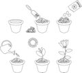 Coloring page. Instructions on how to plant flower in six easy steps. Step by step Royalty Free Stock Photo