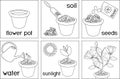 Coloring page. Instructions on how to plant flower in six easy steps with titles. Step by step