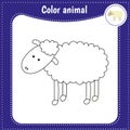 coloring page for kids. Vector illustration. Color sheep Royalty Free Stock Photo