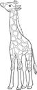 Coloring page. Little cute baby giraffe with long neck stands and smiles Royalty Free Stock Photo