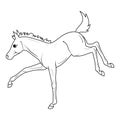 Coloring page little foal kicks. Painting for children.