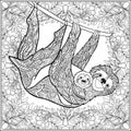 Coloring page with lovely sloth in forest.