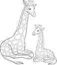 Coloring page. Mother giraffe with long neck lays with her little cute baby and smiles Royalty Free Stock Photo