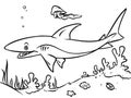 Coloring page ocean shark contour illustration