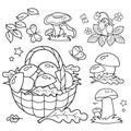 Coloring Page Outline Of basket of mushrooms. Summer gifts of nature. Coloring book for kids