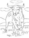 Coloring Page outline bull. Animal coloring book for kids.