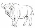 The Coloring Page outline bull is for kids.