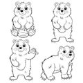 Coloring page outline of a cartoon bear. Vector set isolated on white background. Coloring book of forest wild animals for kids Royalty Free Stock Photo