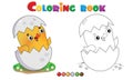 Coloring Page Outline of cartoon chick with egg. Farm animals. Coloring book for kids Royalty Free Stock Photo