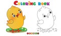 Coloring Page Outline of cartoon chick or kid of hen. Farm animals. Coloring book for kids