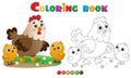 Coloring Page Outline of cartoon chicken or hen with chicks. Farm animals. Coloring book for kids Royalty Free Stock Photo