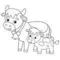 Coloring Page Outline of cartoon cow with calf. Farm animals. Coloring book for kids Royalty Free Stock Photo