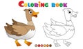 Coloring Page Outline of cartoon duck. Farm animals. Coloring book for kids