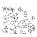 Coloring Page Outline Of cartoon hedgehog with apples and mushrooms in the meadow with butterflies. Coloring book for kids