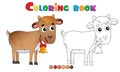 Coloring Page Outline of cartoon kid of goat with bell. Farm animals. Coloring book for kids Royalty Free Stock Photo