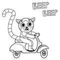 Coloring page outline of cartoon lemur on motorbike. Vector image on white background. Coloring book of transport for kids