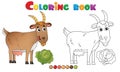 Coloring Page Outline of cartoon nanny goat. Farm animals. Coloring book for kids Royalty Free Stock Photo