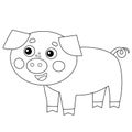 Coloring Page Outline of cartoon pig or swine. Farm animals. Coloring book for kids Royalty Free Stock Photo