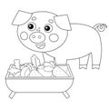 Coloring Page Outline of cartoon pig or swine with food. Farm animals. Coloring book for kids Royalty Free Stock Photo