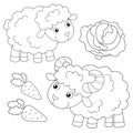 Coloring Page Outline of cartoon sheep with lamb. Farm animals. Coloring book for kids Royalty Free Stock Photo