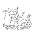 Coloring Page Outline Of cartoon squirrel with mushrooms in the meadow with butterflies. Coloring book for kids