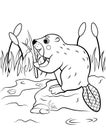 Coloring page outline of cute cartoon beaver with a branch in the reeds. Vector image with nature background. Coloring book of