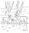 Coloring page outline of cute cartoon deer family. Vector image of male deer, female doe and little fawn with nature background.