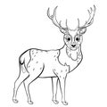 Coloring page outline of cute cartoon deer. Vector image isolated on white background. Coloring book of forest wild animals for Royalty Free Stock Photo