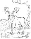 Coloring page outline of cute cartoon moose. Vector image with forest background. Coloring book of forest wild animals for kids Royalty Free Stock Photo