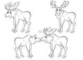 Coloring page outline of cute cartoon wild moose. Moose in different postures. Coloring book of forest animals for kids. Isolated