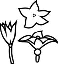 Coloring page with pumpkin flowers