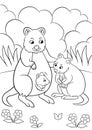 Coloring pages. Mother quokka with her little cute babies stands